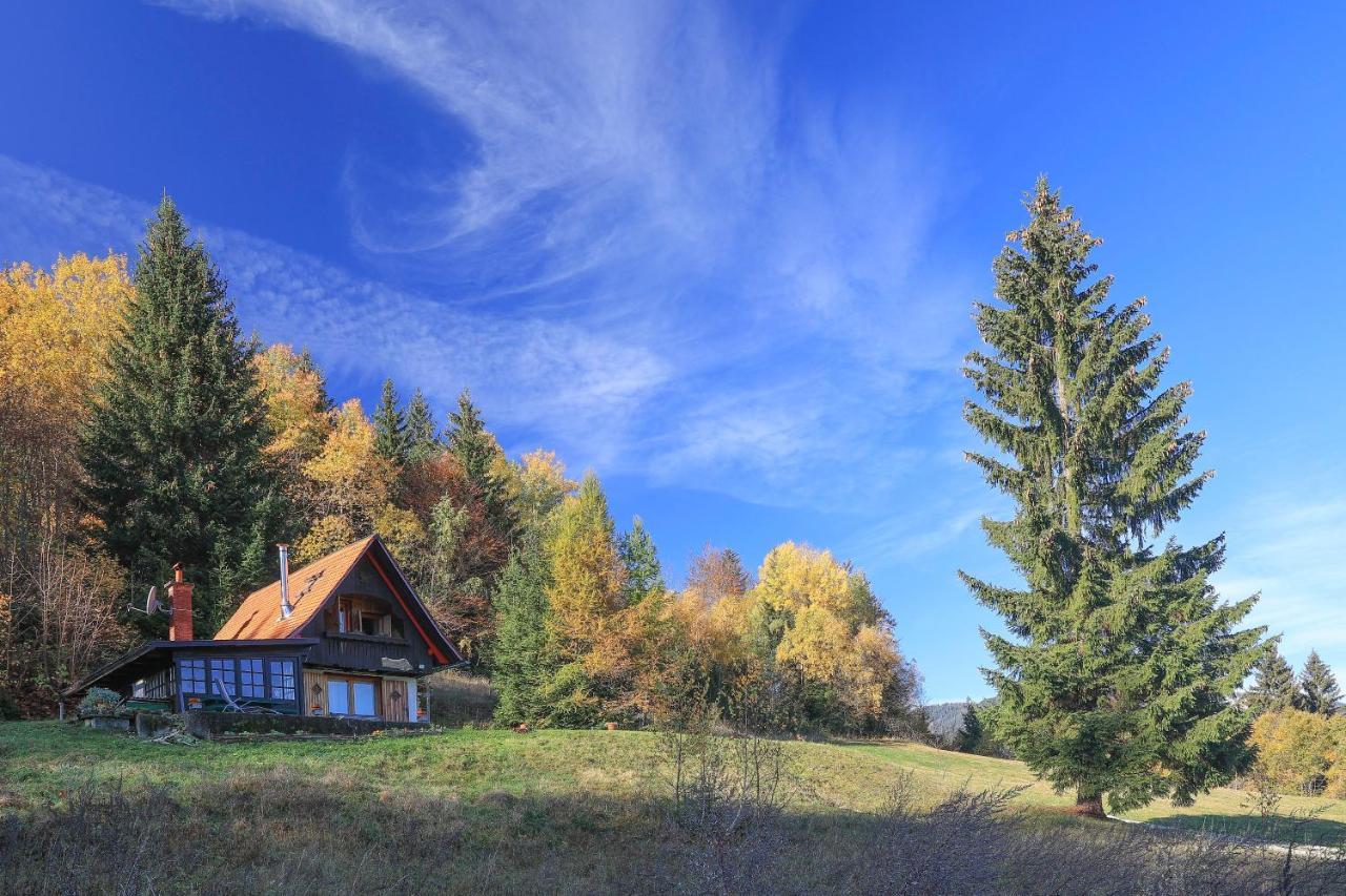 Fairytale Cottage - Peaceful Getaway Near Bled Zgornje Gorje Exteriör bild